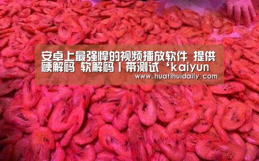 开云官网登录入口