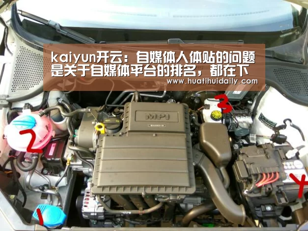 kaiyun开云